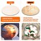 5 Pieces Round Wood Discs for Crafts, Audab 14 Inch Wood Circles Unfinished Wood Rounds Plaque for Door Hanger, Door Design, Wood Burning